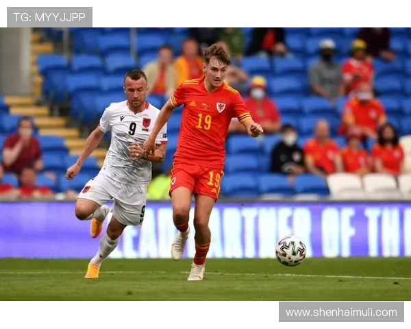 重庆乒乓球队快攻战术解析与发展趋势探讨