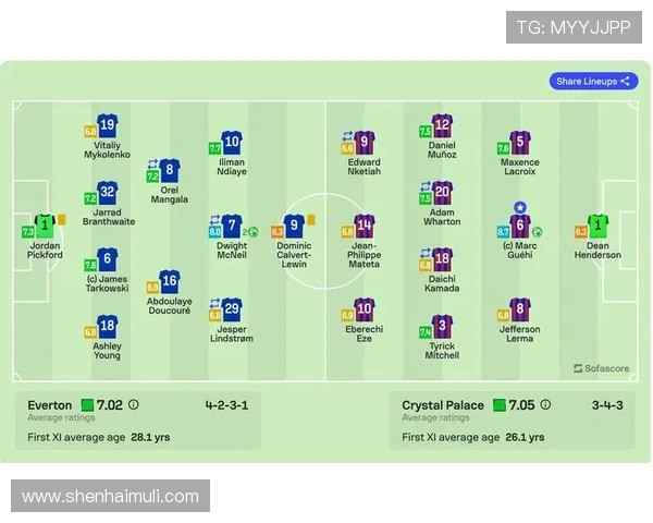 埃弗顿与水晶宫比赛评分分析及球员表现点评