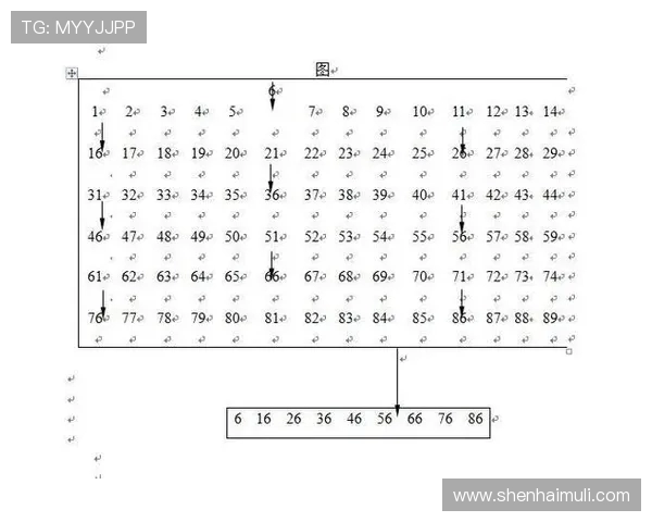杭州乒乓球队节奏表现的数据分析与战术优化探讨